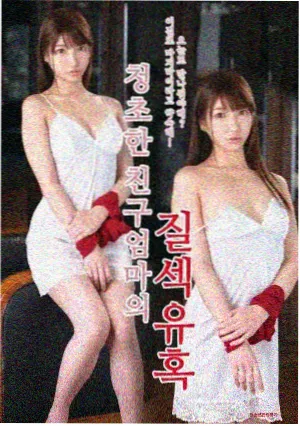 少年派1全集在线播放 第2集